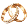anillos